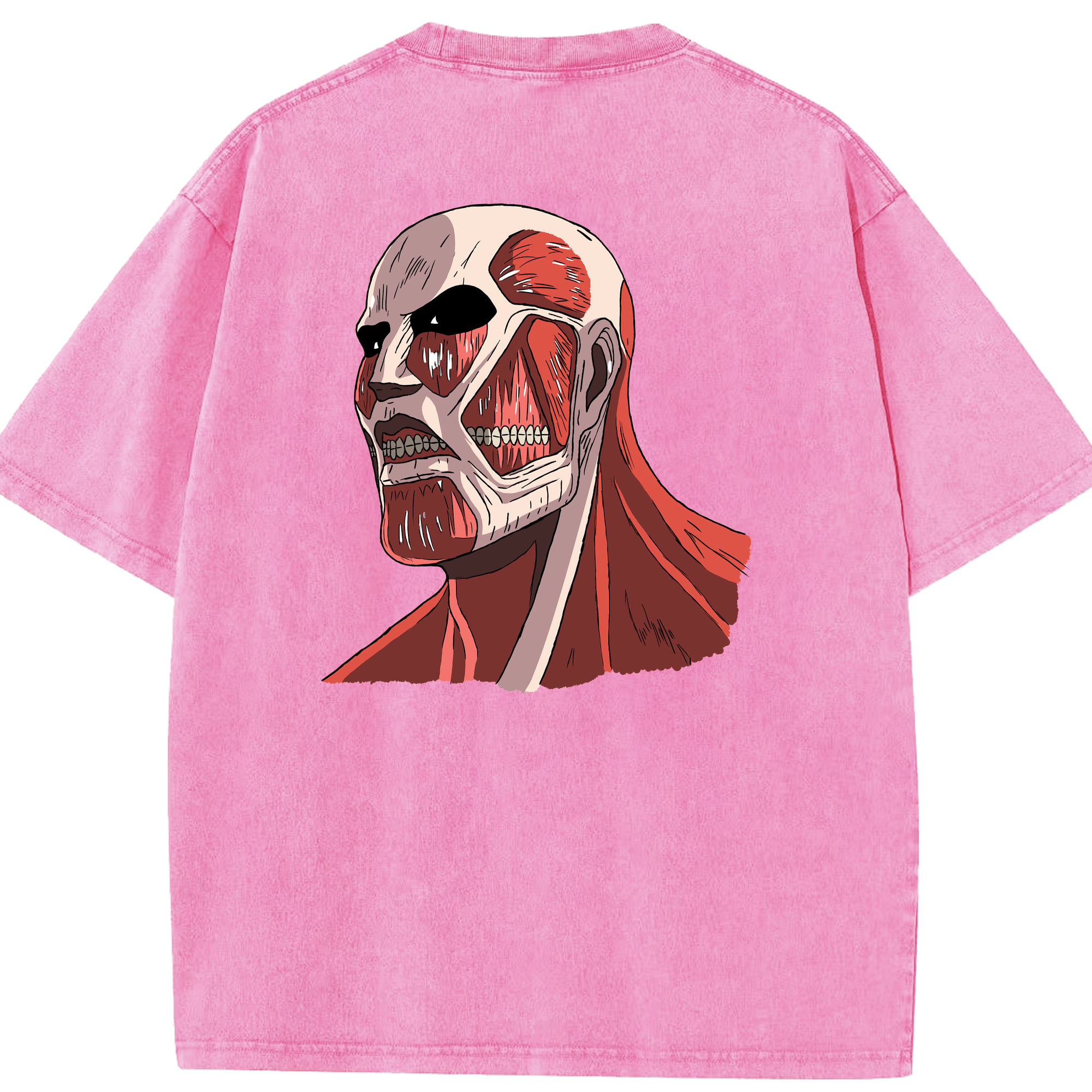 （画像用） 進撃の巨人 Attack on Titan 綿100% ヴィンテージ風 半袖Tシャツ（背面プリント）